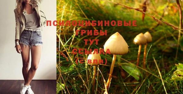 кокаин Михайловск