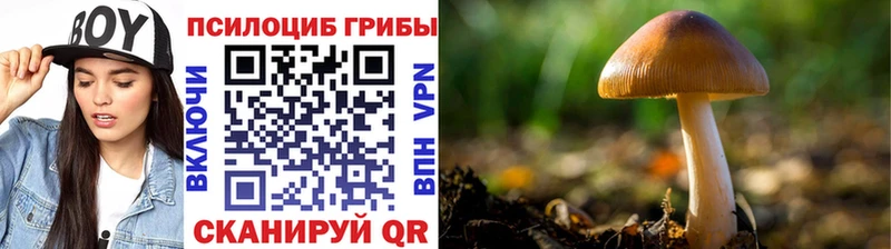 мега зеркало  закладки  Углегорск  Псилоцибиновые грибы прущие грибы 